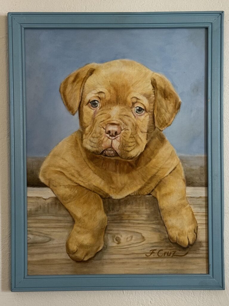 perro